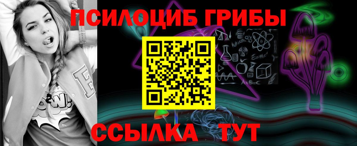 Псилоцибиновые грибы Psilocybine cubensis  Вход с VPN  Павлово  Галлюциногенные грибы Psilocybine cubensis 