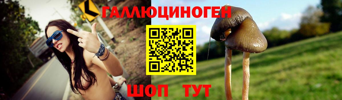Псилоцибиновые грибы MAGIC MUSHROOMS Павлово